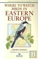 Where To Watch Birds In Easter