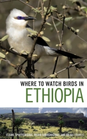 Where To Watch Birds In Ethiopia