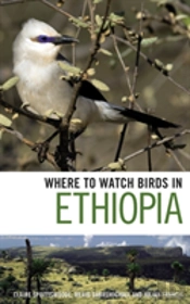 Where To Watch Birds In Ethiopia