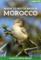 Where To Watch Birds In Morocco