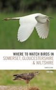 Where To Watch Birds In Somerset, Gloucestershire And Wiltshire