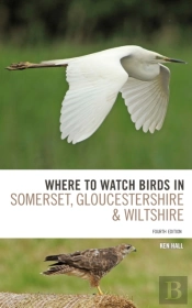 Where To Watch Birds In Somerset, Gloucestershire And Wiltshire