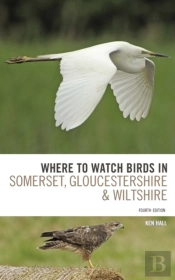 Where To Watch Birds In Somerset, Gloucestershire And Wiltshire