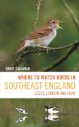Where To Watch Birds In Southeast England