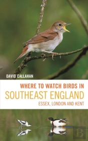 Where To Watch Birds In Southeast England