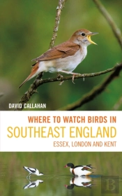 Where To Watch Birds In Southeast England