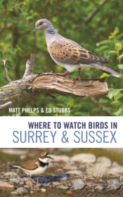 Where To Watch Birds In Surrey And Sussex