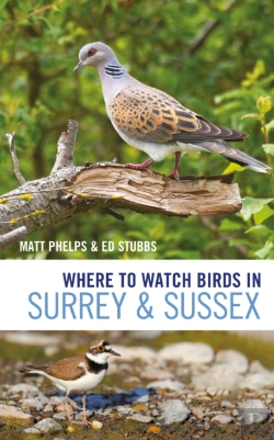 Bertrand.pt - Where To Watch Birds In Surrey And Sussex