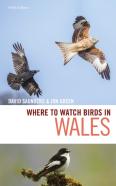 Where To Watch Birds In Wales
