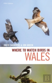 Where To Watch Birds In Wales