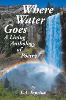 Where Water Goes