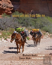 Where Will This Train Take Me