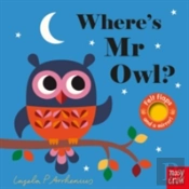 Where'S Mr Owl?