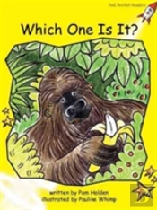 Which One Is It?