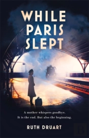 While Paris Slept: A Powerful Novel Of Love, Survival And The Endurance Of Hope