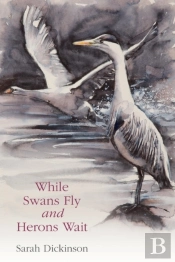 While Swans Fly And Herons Wait