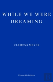 While We Were Dreaming