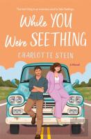 While You Were Seething