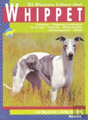 Whippet