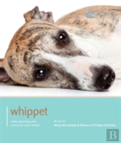 Bertrand.pt - Whippet