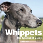 Whippets