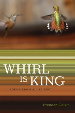 Bertrand.pt - Whirl Is King