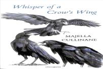 Whisper Of A Crow'S Wing