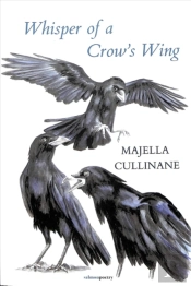 Whisper Of A Crow'S Wing