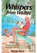 Whispers From Wild Life