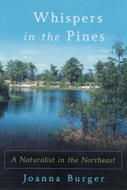 Bertrand.pt - Whispers In The Pines