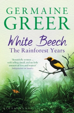 Bertrand.pt - White Beech