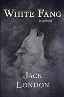 White Fang Illustrated