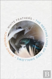 White Feathers: The Nesting Lives Of Tree Swallows