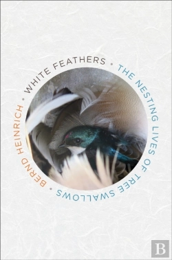 Bertrand.pt - White Feathers: The Nesting Lives Of Tree Swallows