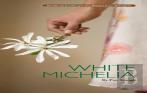 White Michelia
