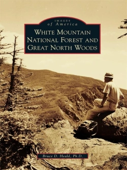 Bertrand.pt - White Mountain National Forest And Great North Woods