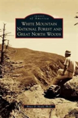 Bertrand.pt - White Mountain National Forest And Great North Woods