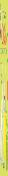 White Rabbit'S Colors