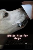 White Rice For Dogs