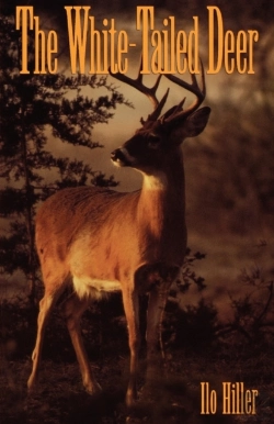Bertrand.pt - White-Tailed Deer