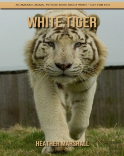 Bertrand.pt - White Tiger