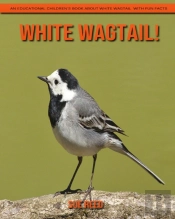 White Wagtail! An Educational Children'S Book About White Wagtail With Fun Facts