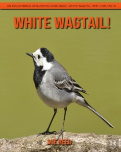 Bertrand.pt - White Wagtail! An Educational Children'S Book About White Wagtail With Fun Facts