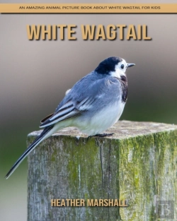 Bertrand.pt - White Wagtail