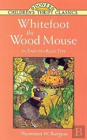 Whitefoot The Wood Mouse