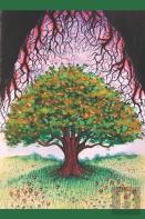 Whiteoak