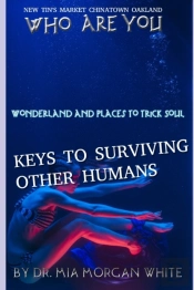 Who Are You Wonderland And Places To Trick Soul