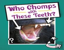 Who Chomps With These Teeth?
