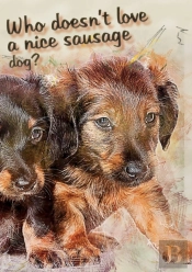 Who Doesn'T Like A Nice Sausage Dog
