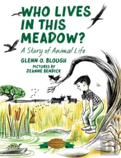 Who Lives In This Meadow?